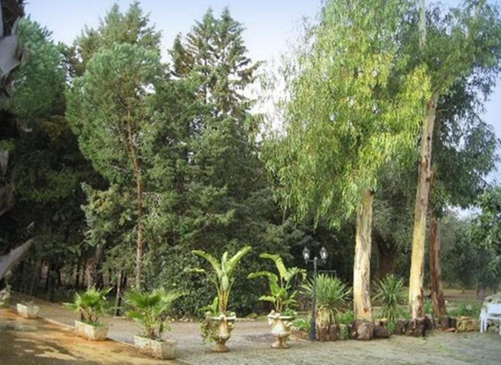 Villa Mado Ceglie Messapica Extérieur photo