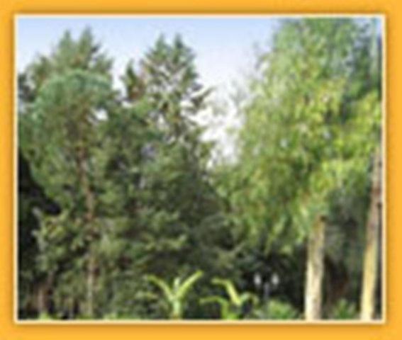 Villa Mado Ceglie Messapica Extérieur photo